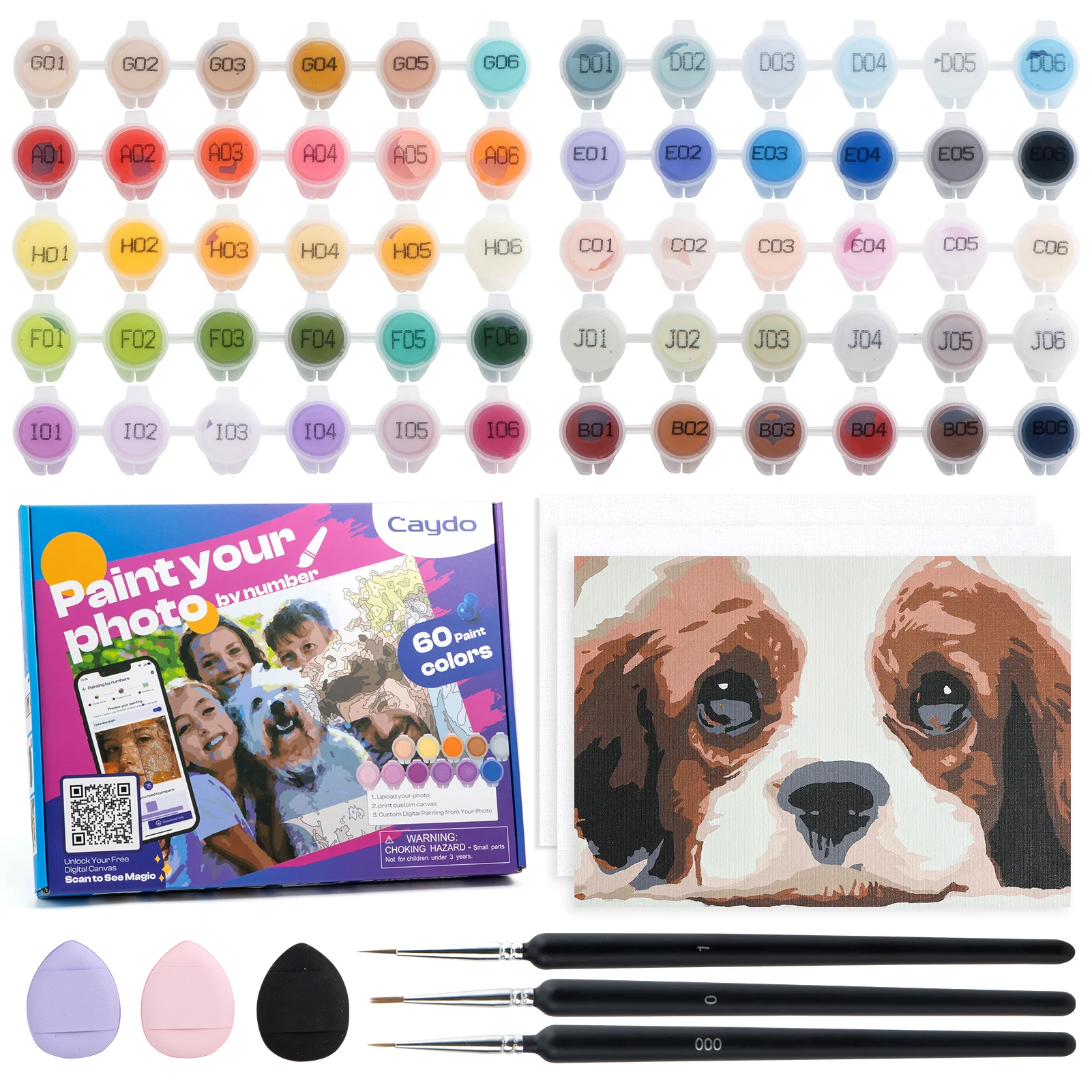 Paint by Numbers Kit & Custom Photo App