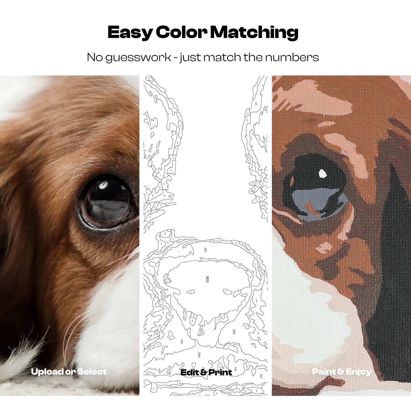 Paint by Numbers Kit & Custom Photo App - Image 6